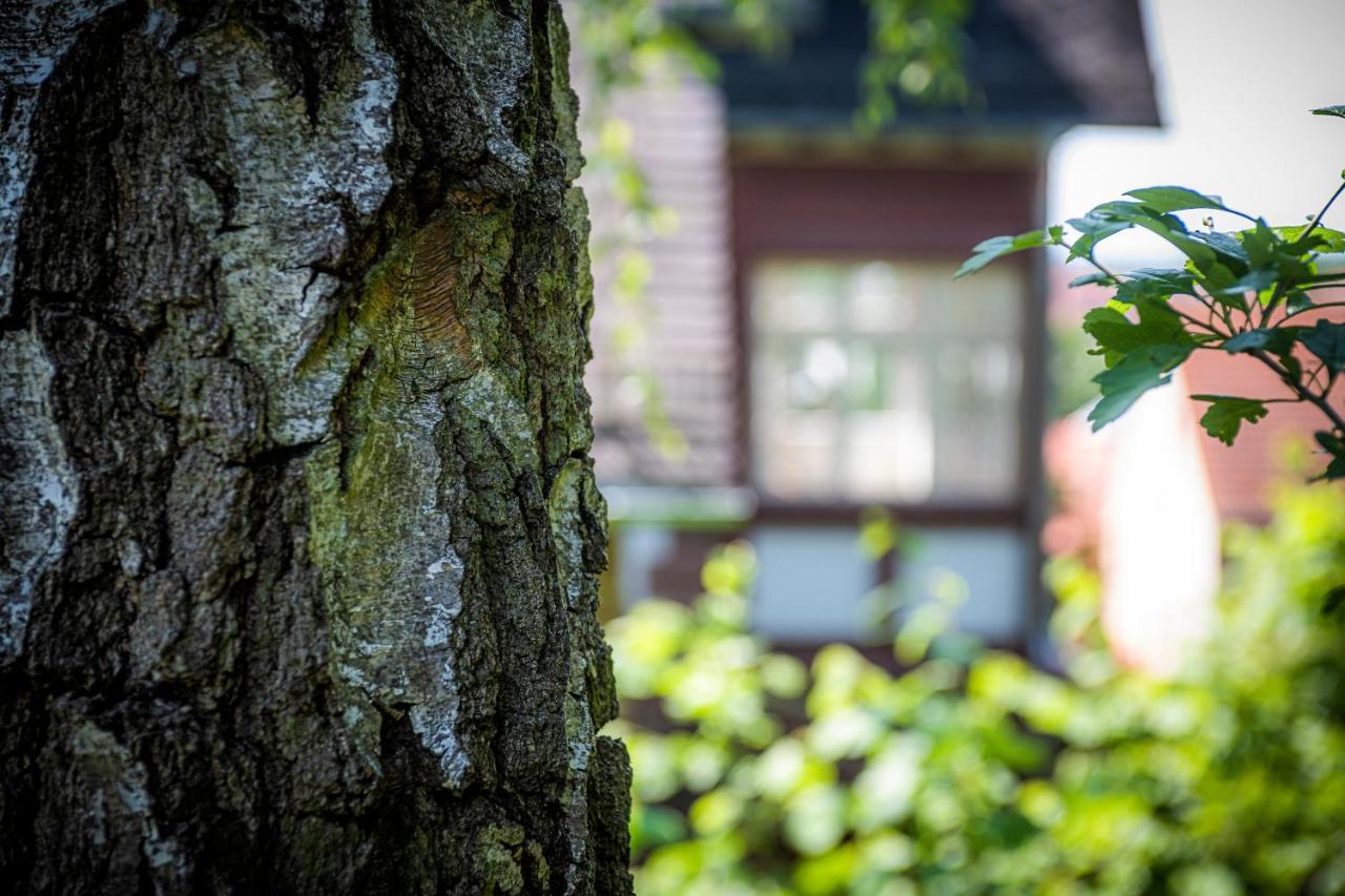 Blumeins - Das Refugium Gross Umstadt Bagian luar foto
